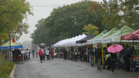 March&eacute; d'automne Ahuntsic-Cartierville