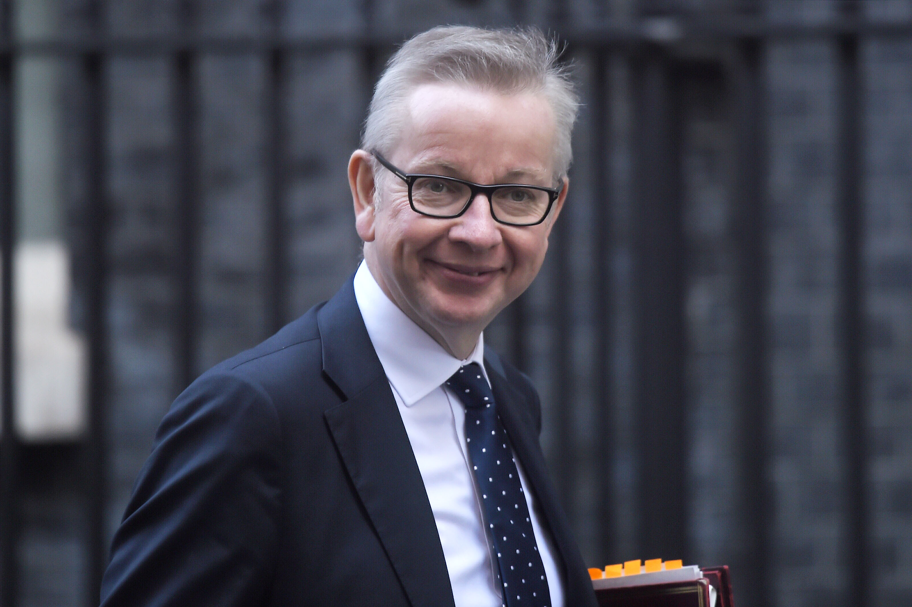 ministre Michael Gove
