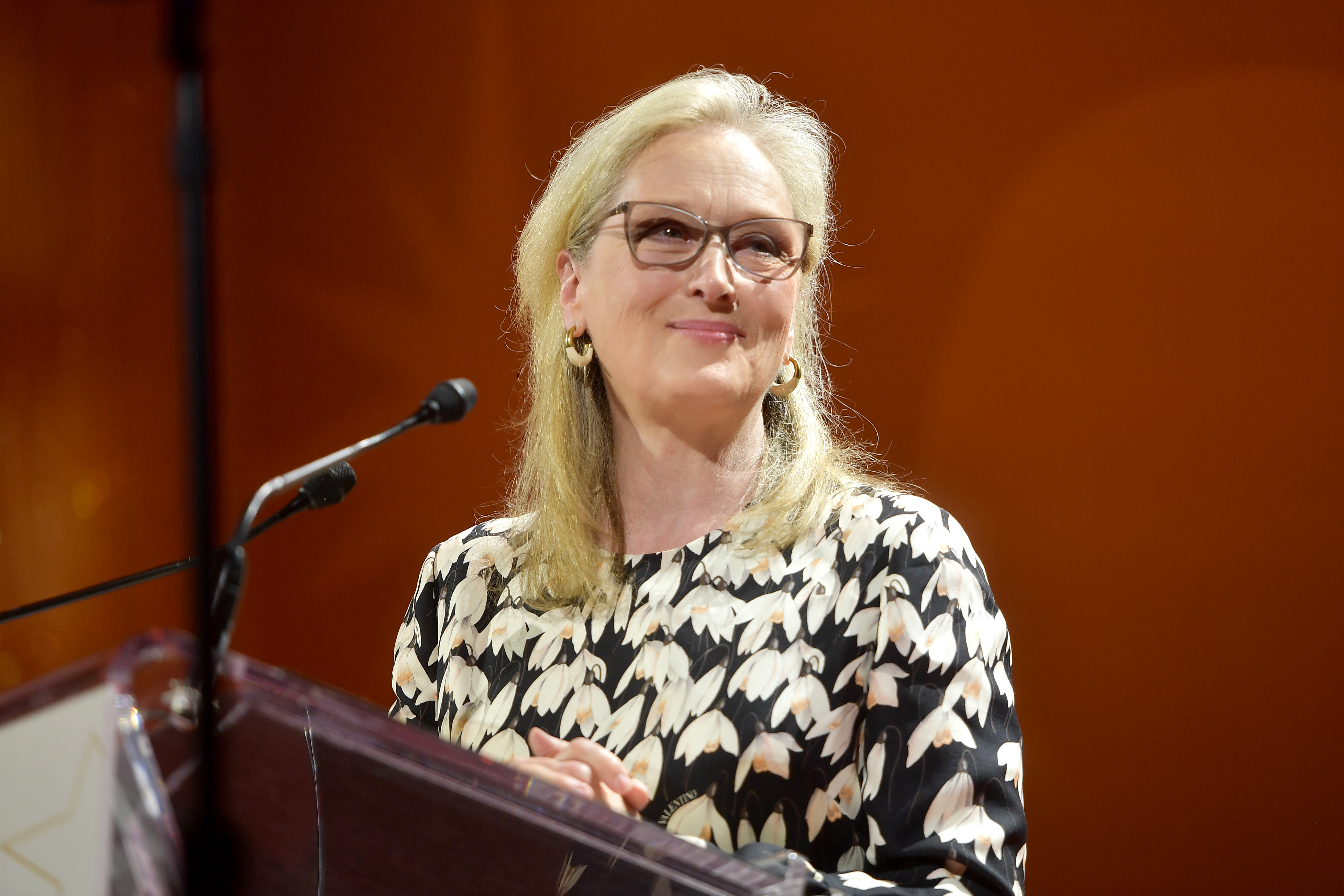 met gala Meryl Streep