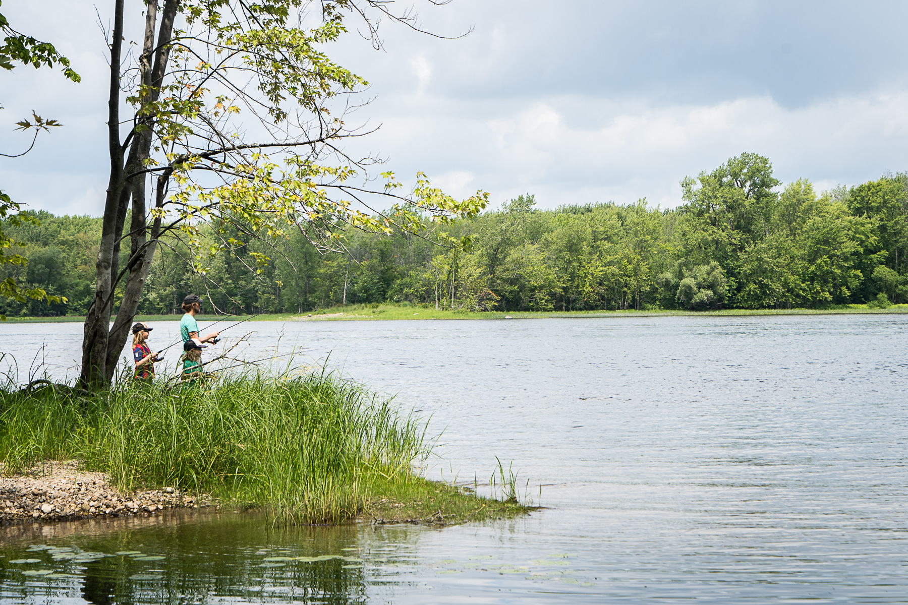 Grand parc de l'Ouest