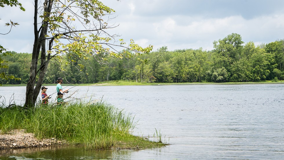 Grand parc de l'Ouest