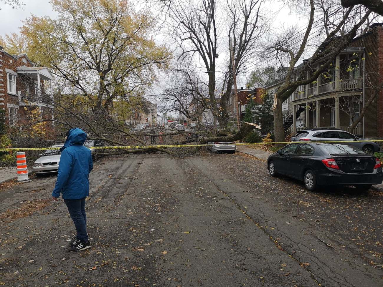 dégâts vents forts Ahuntsic-Cartierville
