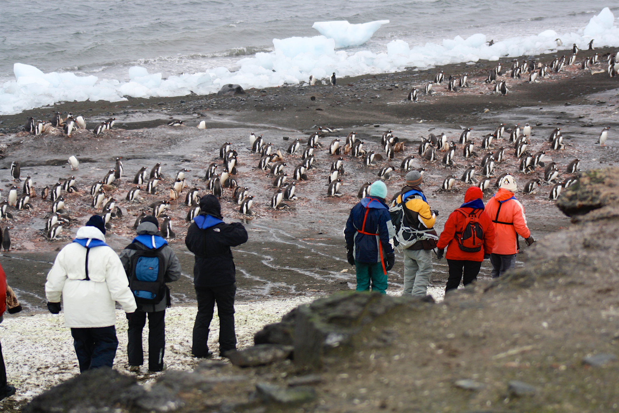 antarctique