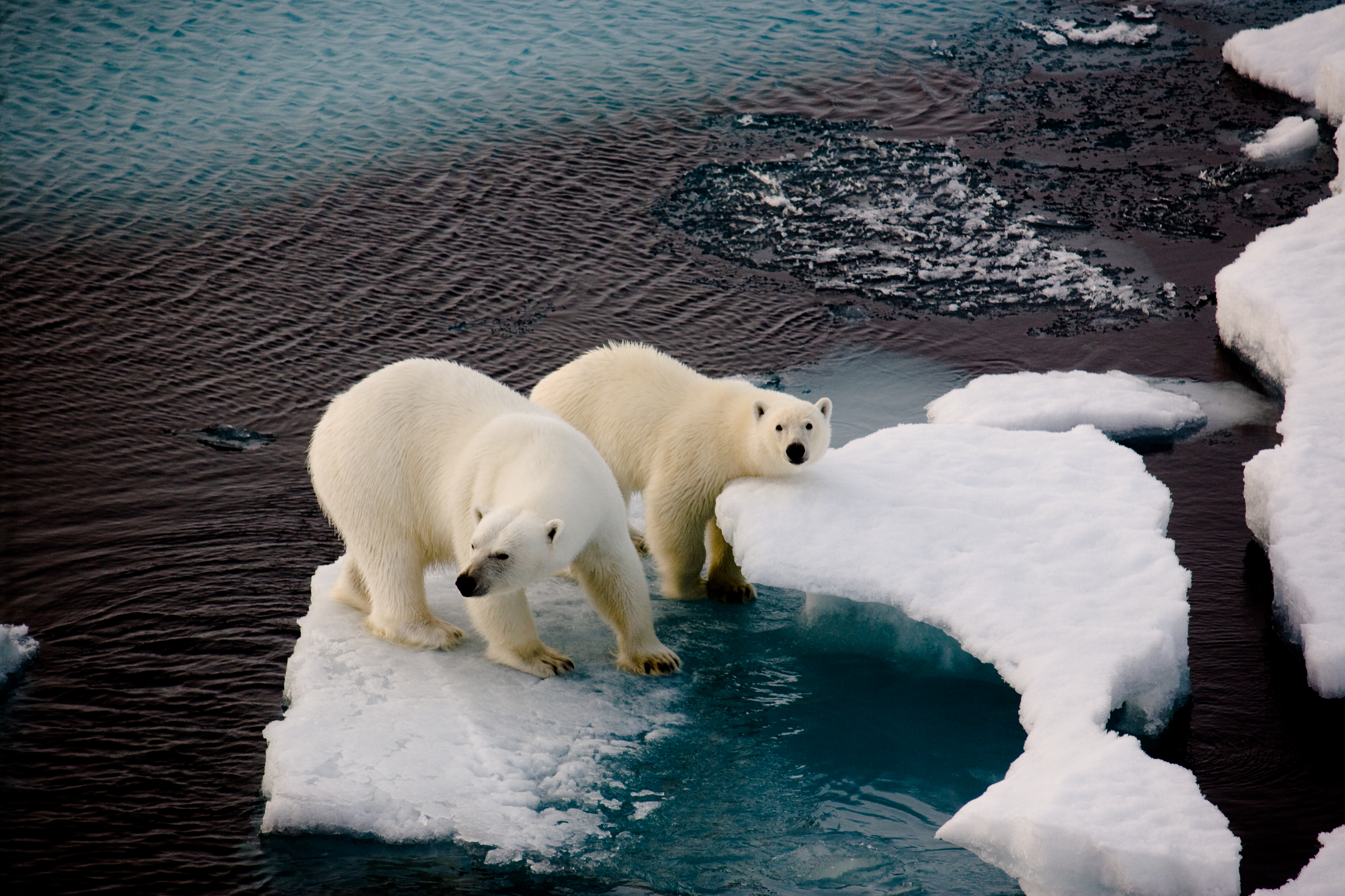 Nouveau record pour le climat: le mois d’octobre, plus chaud que jamais