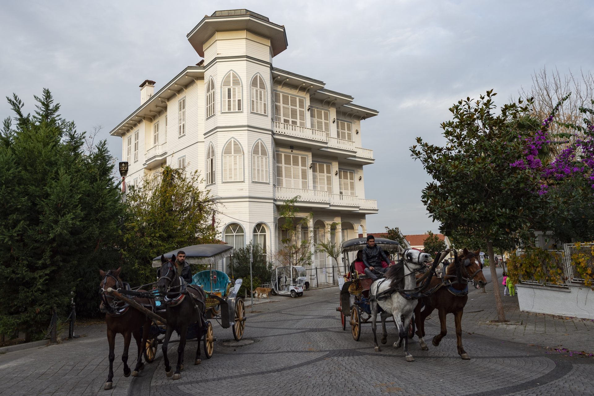 calèches Istanbul