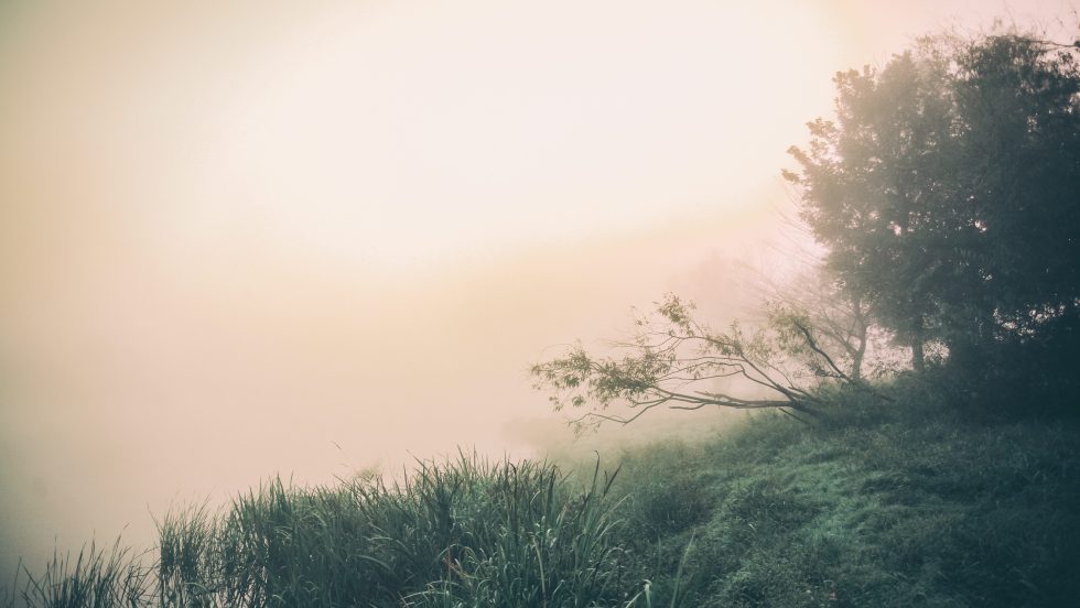 Russie: 2019, l'année la plus chaude jamais enregistrée