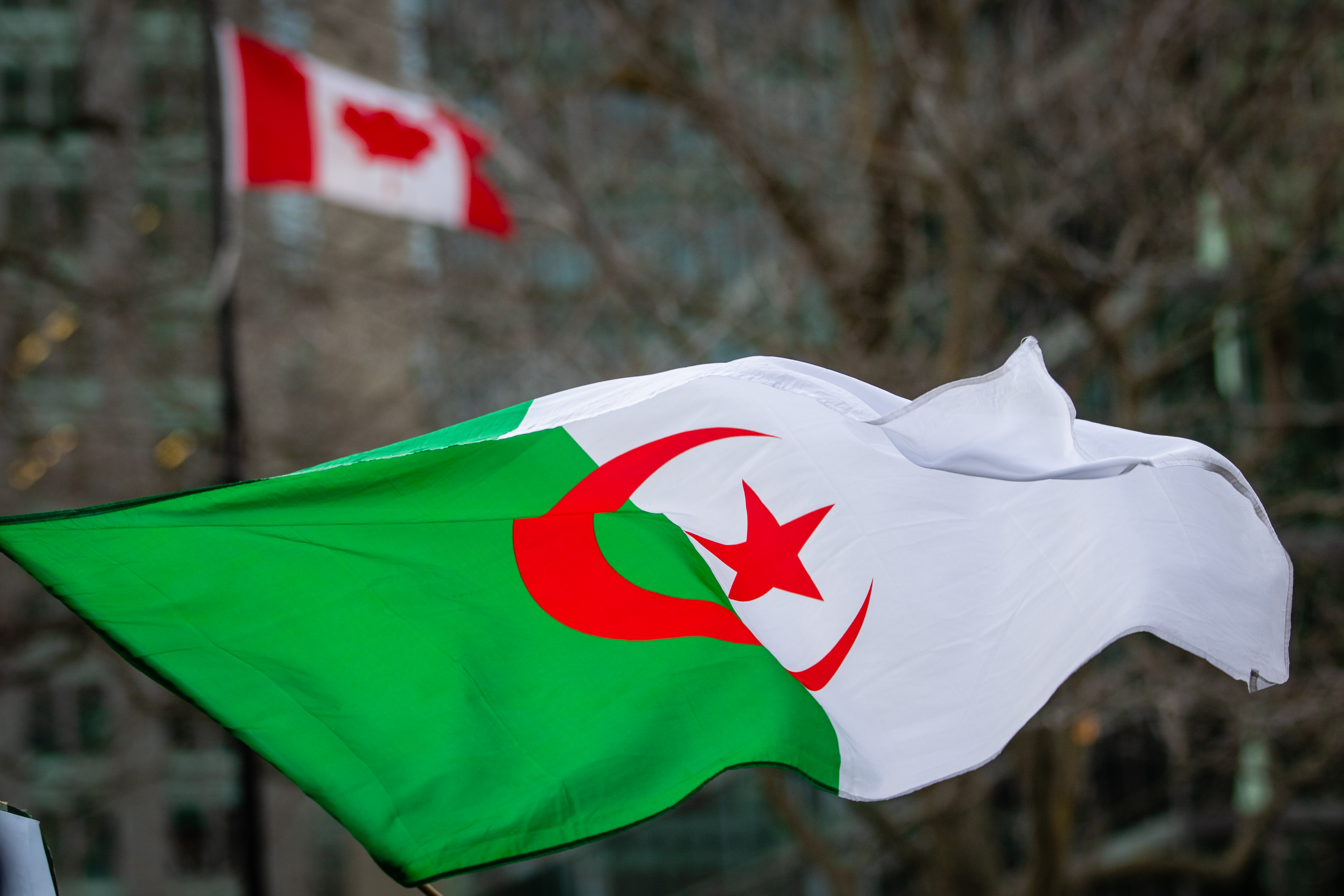 Algérie: des milliers de personnes à Alger ont fêté les un an du "Hirak"