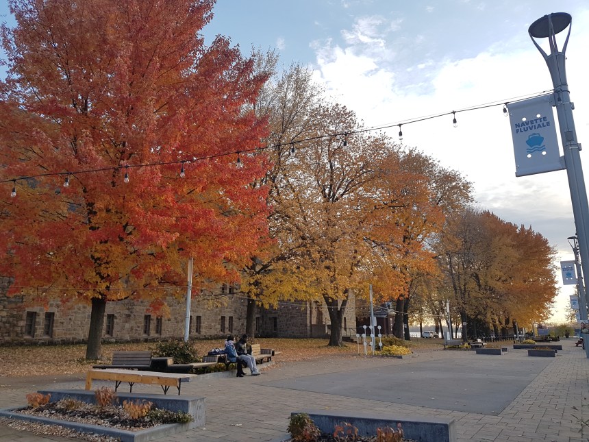 Un nouveau visage pour le VieuxPointeauxTrembles à l’été 2020