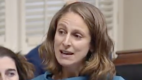 Christine Labrie, une députée de Québec solidaire dépose deux plaintes à la police pour cyberintimidation