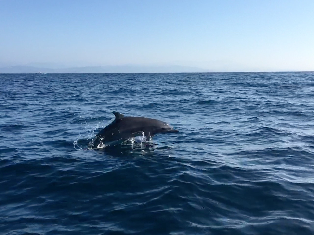 Puerto Escondido