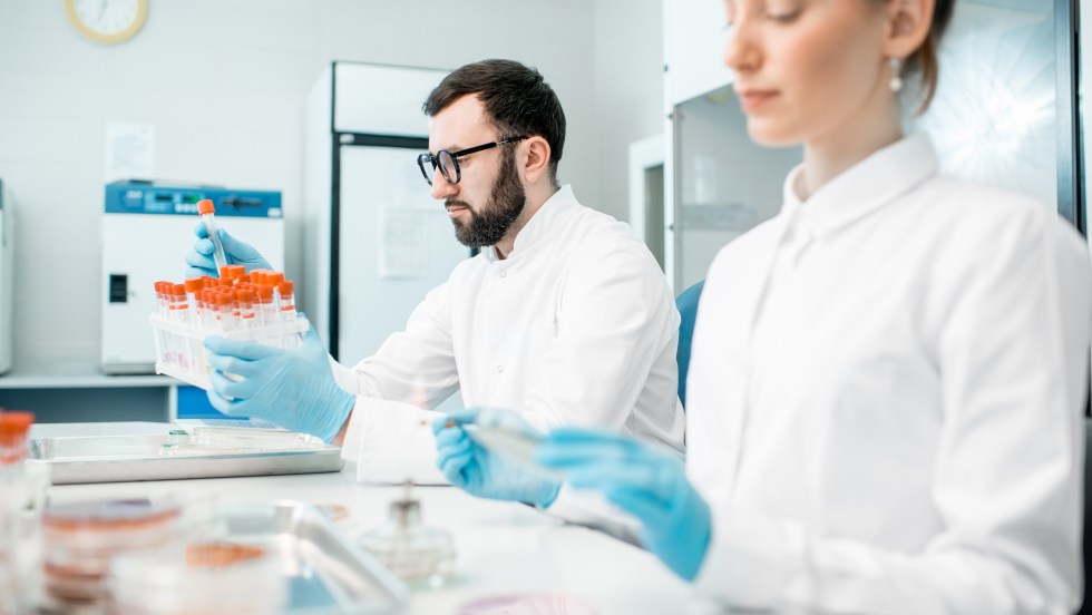 scientifiques travail