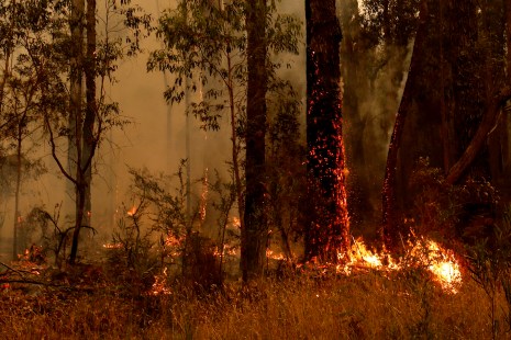 Forte mobilisation en Australie alors que les incendies ont fait une 24e victime