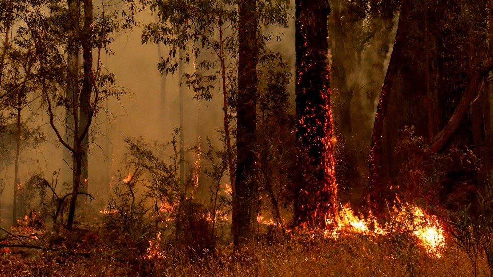 Forte mobilisation en Australie alors que les incendies ont fait une 24e victime