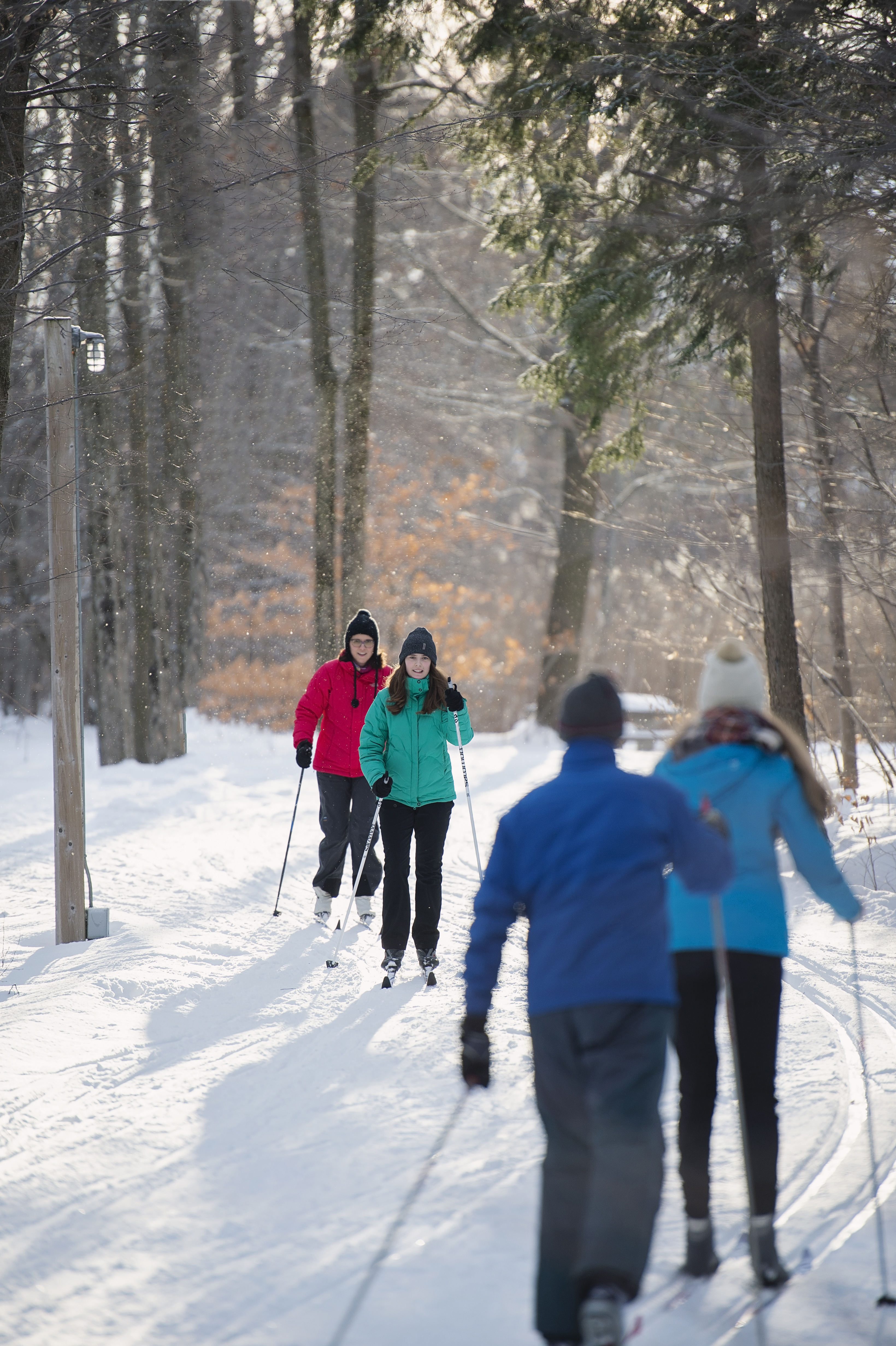 activités hiver
