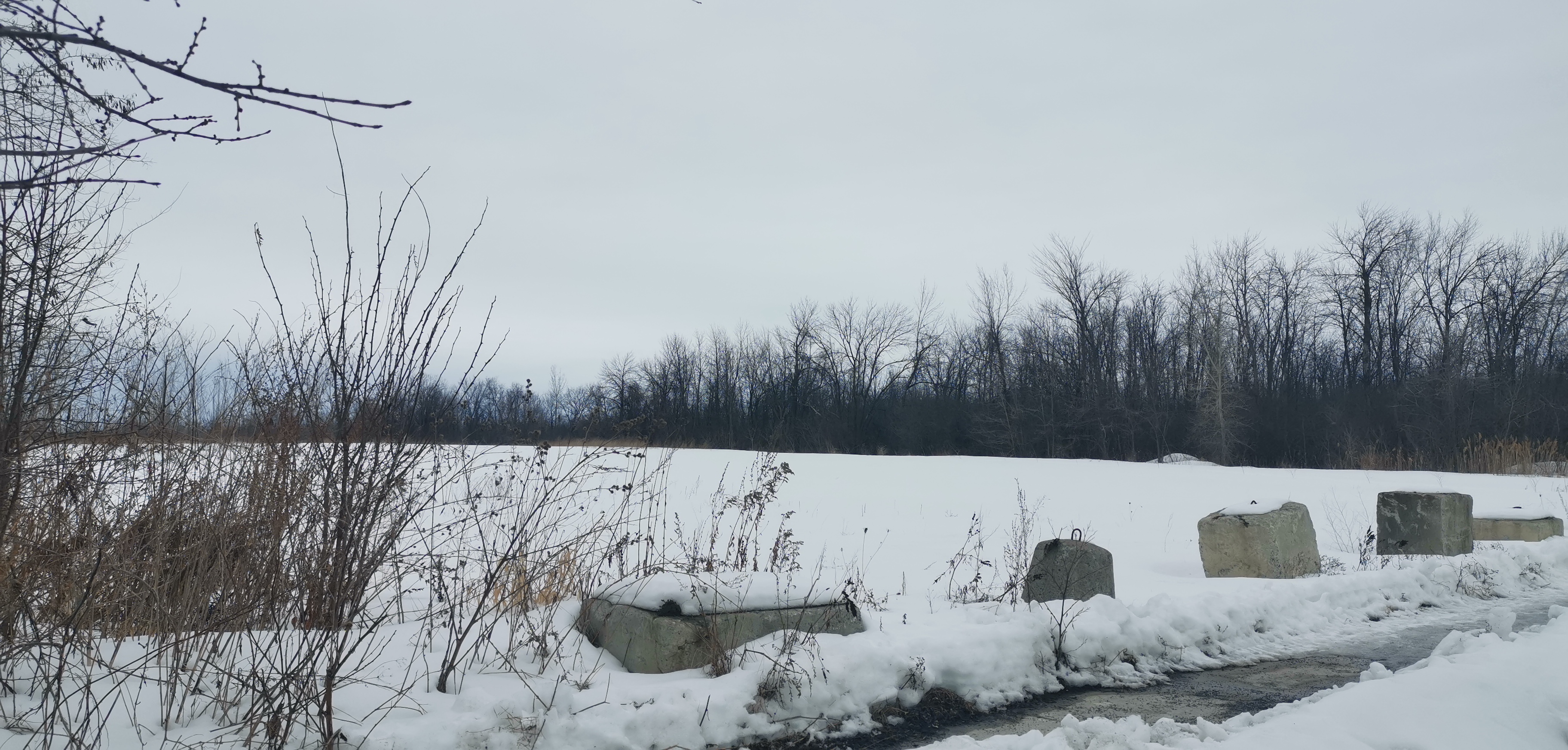 échange de terrain Ville de Montréal et entreprise dans Rivière-des-Prairies