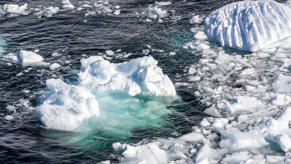 Climat: janvier 2020, mois de janvier le plus chaud de l'histoire