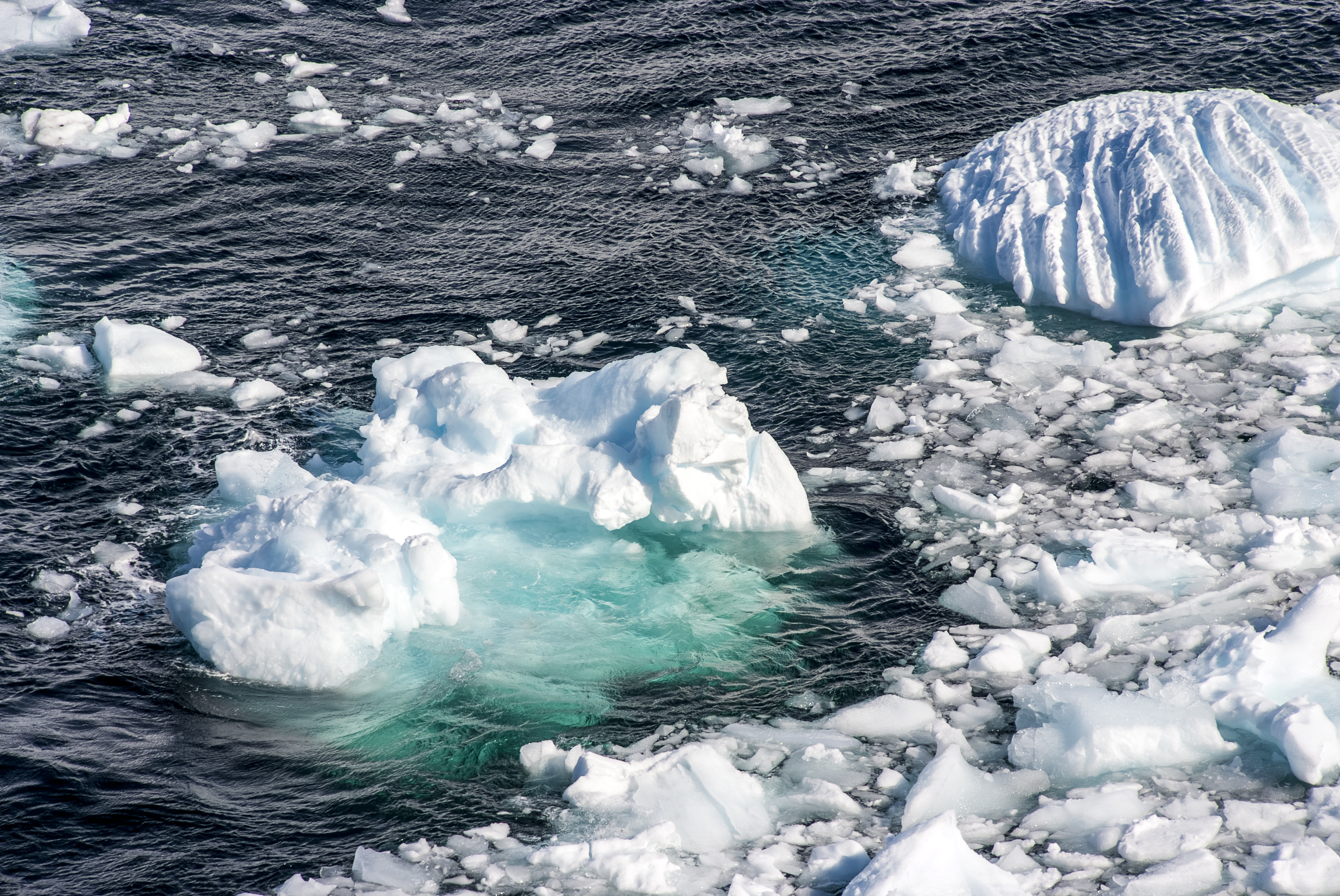 Climat: janvier 2020, mois de janvier le plus chaud de l'histoire
