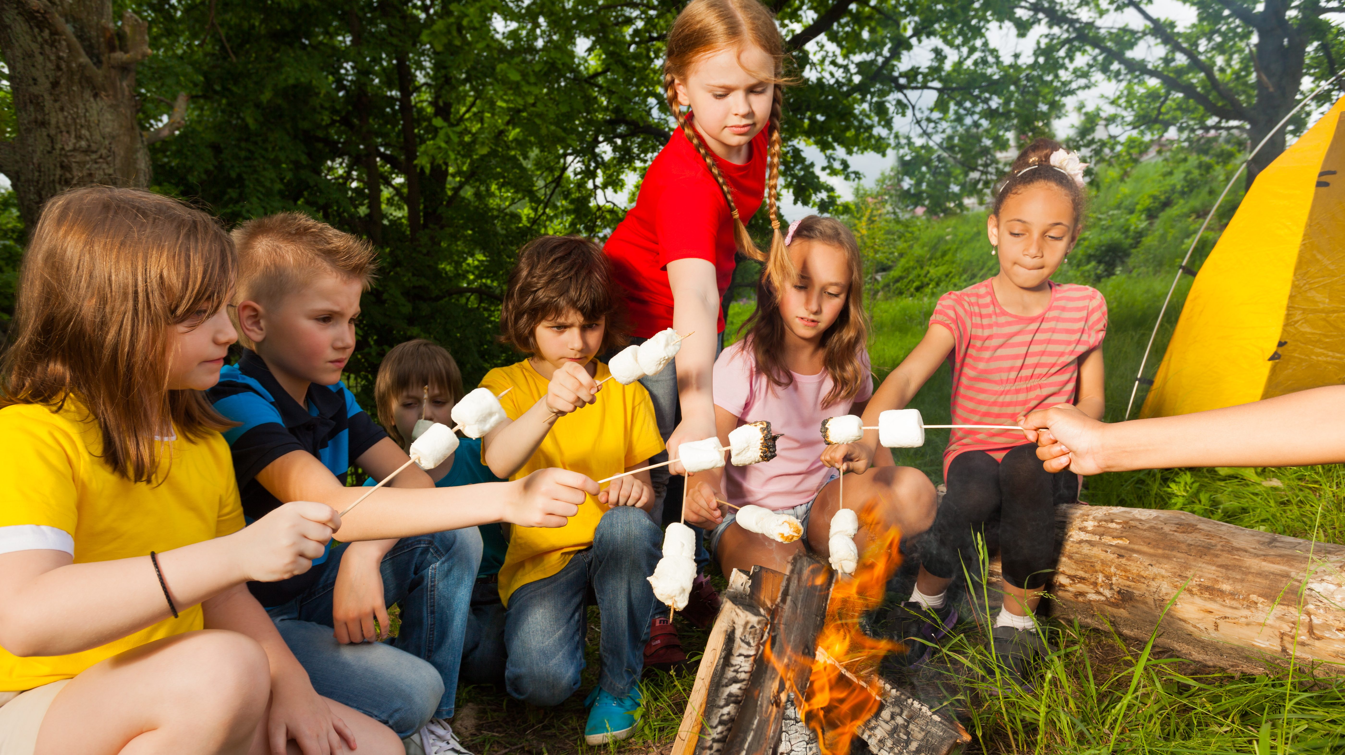 Camp d’été, comment ça se passe?