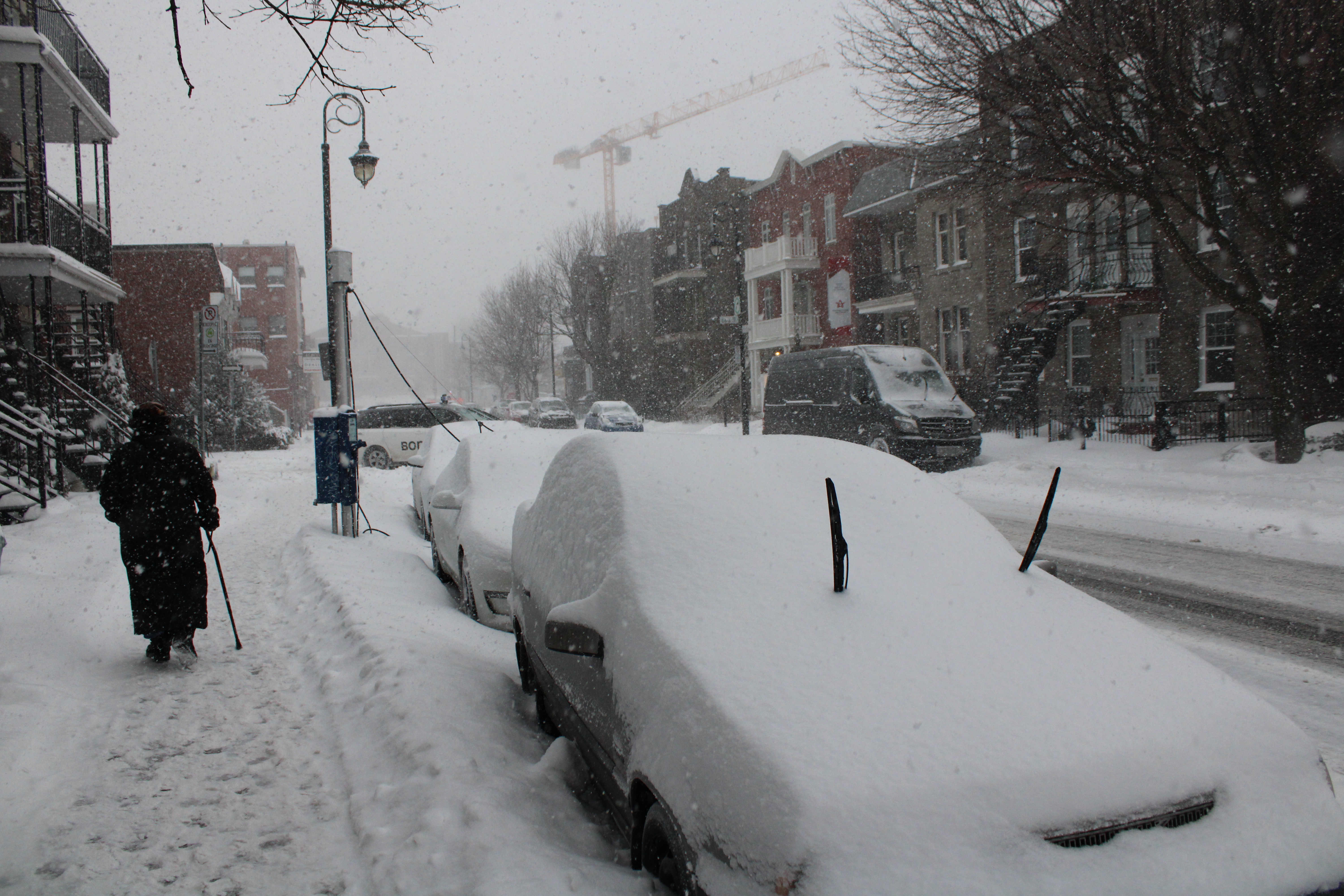 tempête hivernale