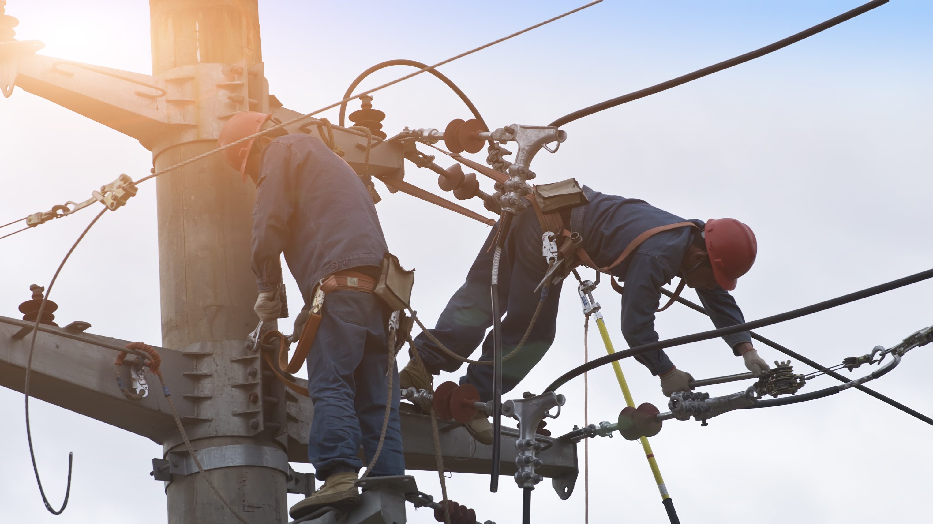 formation professionnelle