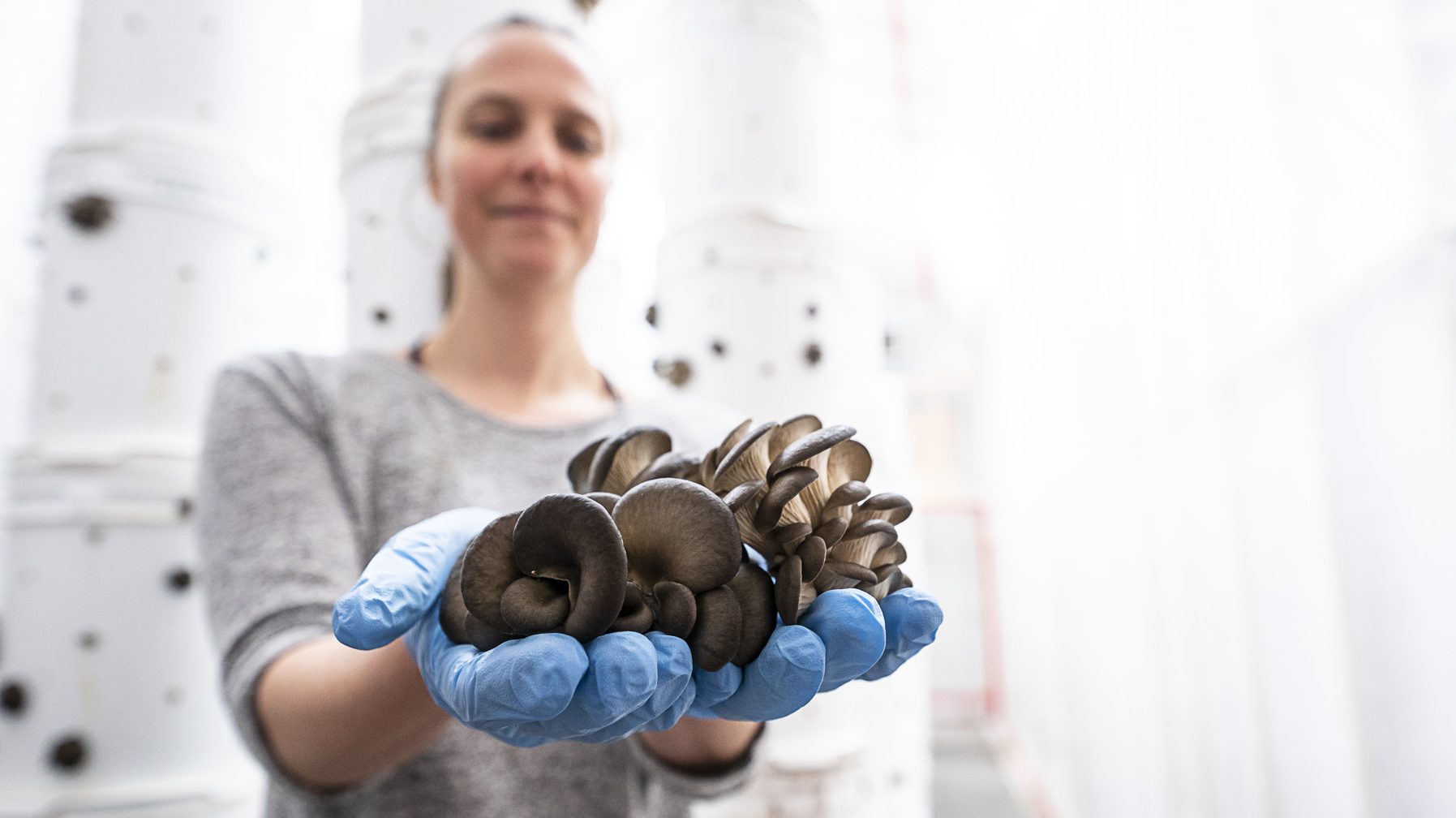 crise sanitaire agriculture urbaine