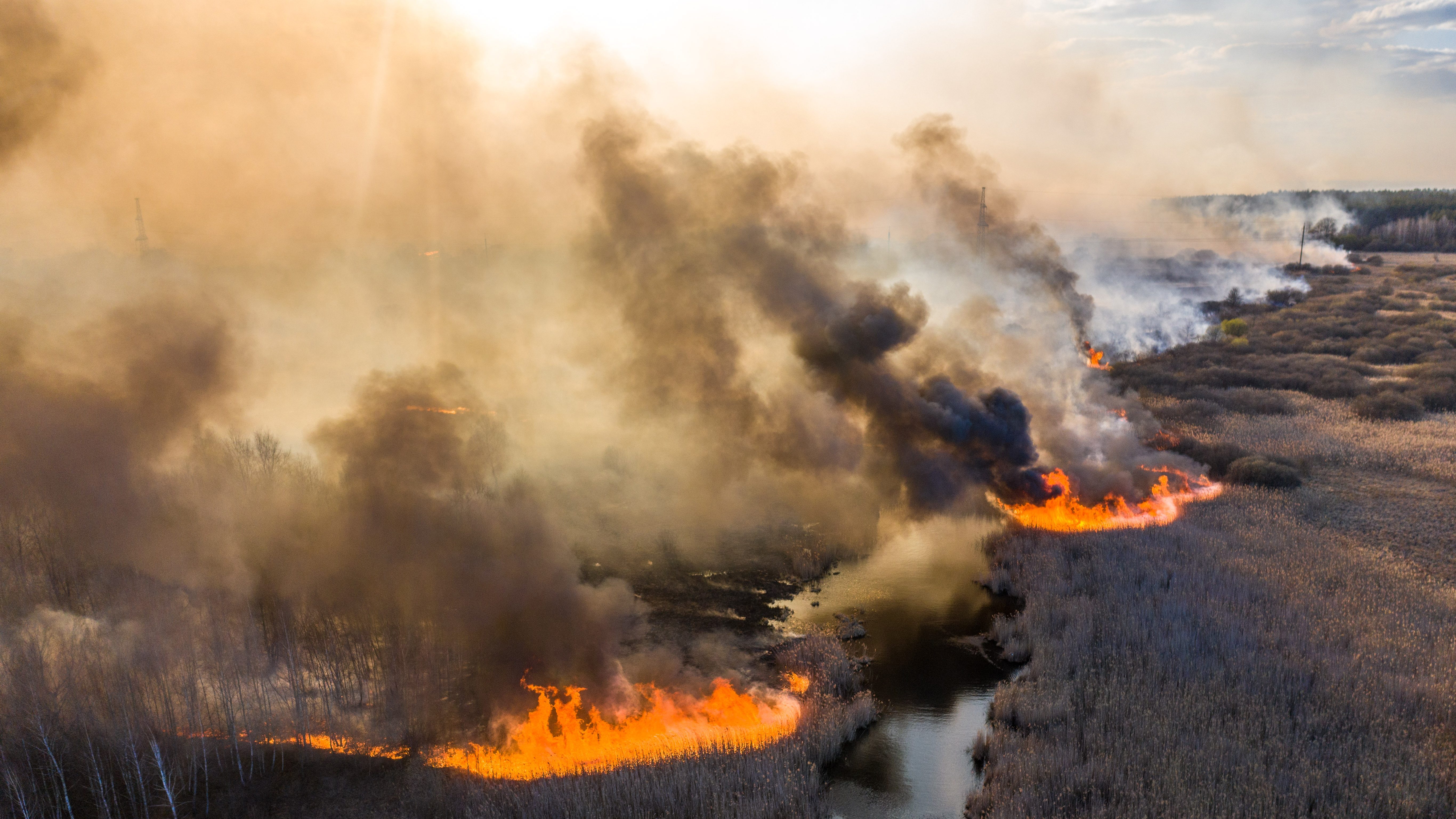 L'Ukraine assure que la situation des feux de forêt à Tchernobyl s'améliore