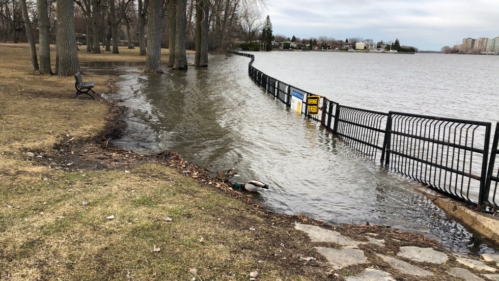 Coronavirus : inondation au parc Beauséjour