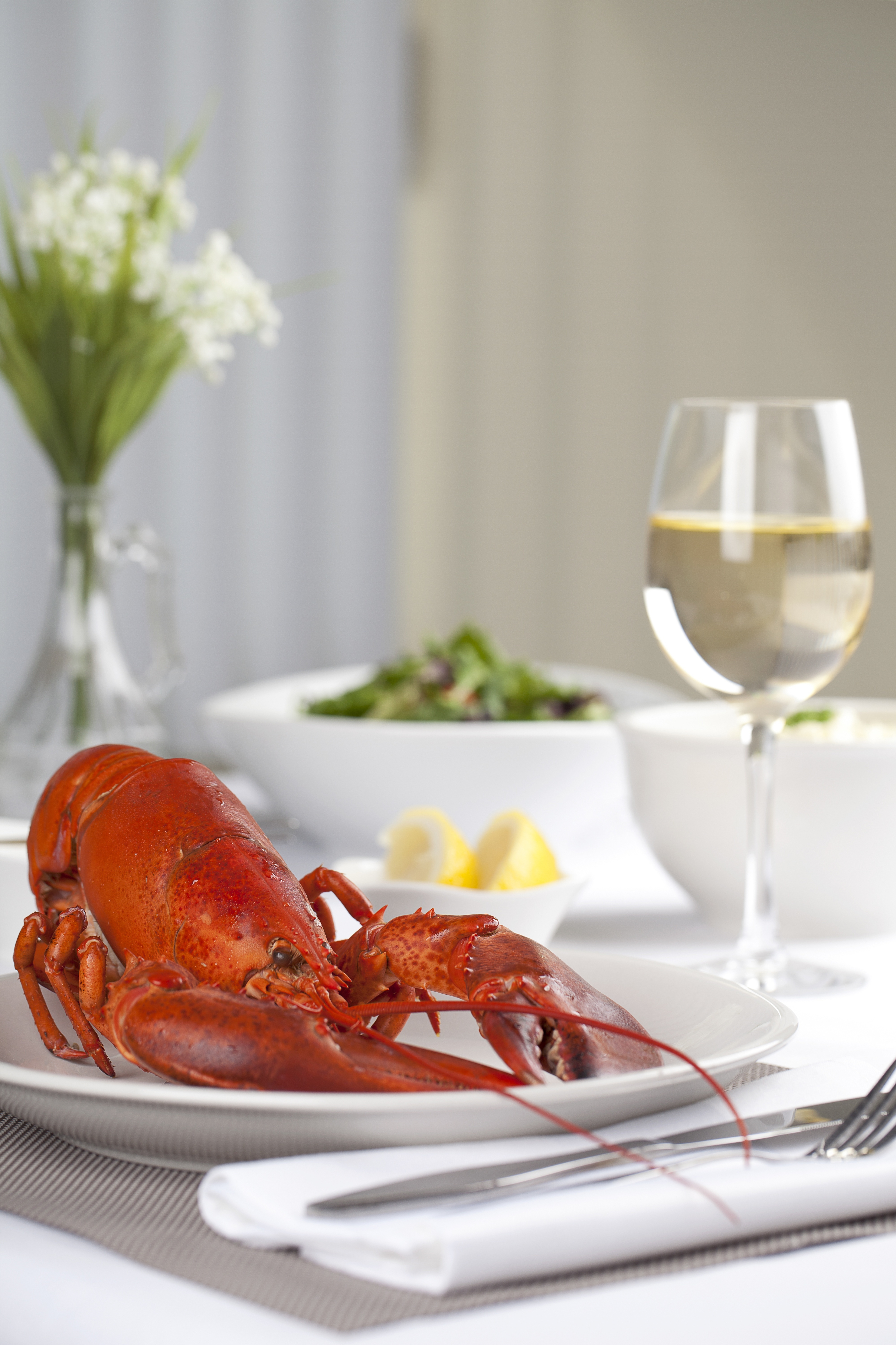 homard gaspésien