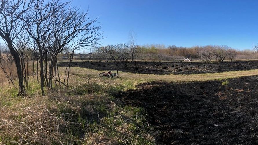 Dans la soirée du 12 mai, un feu de broussailles a pris dans le parc-nature de la Pointe-aux-Prairies au niveau de la 53e avenue et la rue Sherbrooke Est.