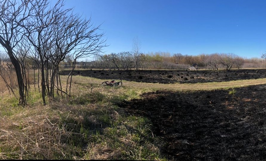 Dans la soirée du 12 mai, un feu de broussailles a pris dans le parc-nature de la Pointe-aux-Prairies au niveau de la 53e avenue et la rue Sherbrooke Est.