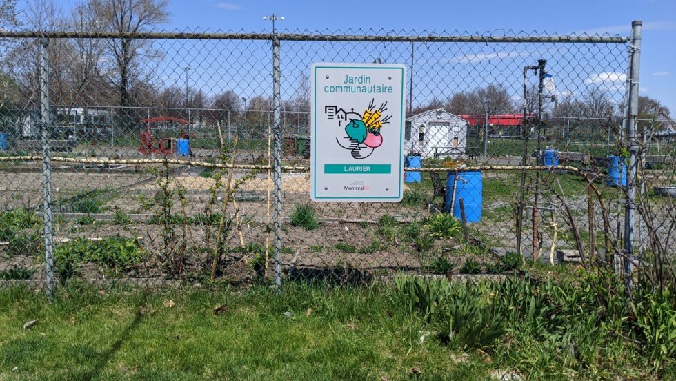 Les jardins collectifs et les jardins communautaires préparent leur réouverture.