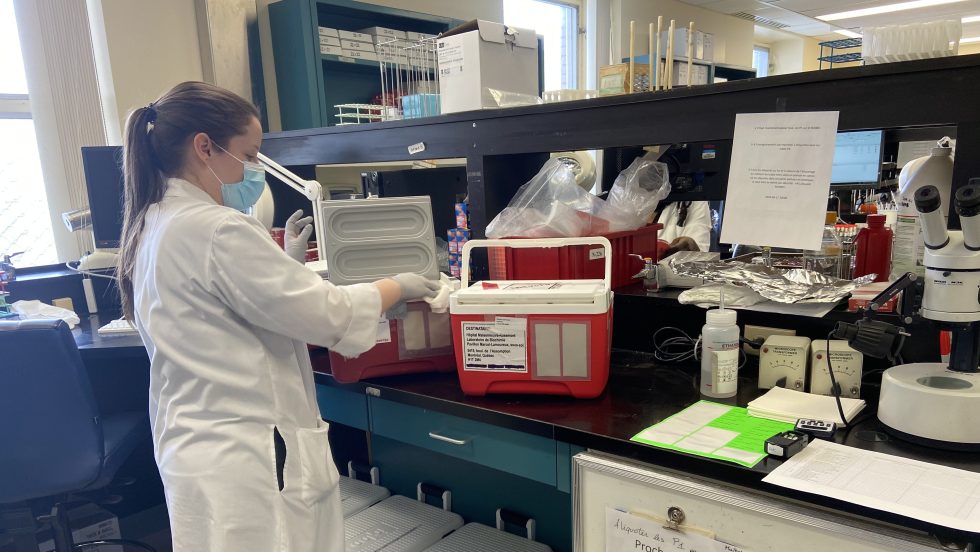 Le laboratoire de microbiologie d’HMR reçoit les échantillons avant de les disperser dans les différents locaux d’analyse.
