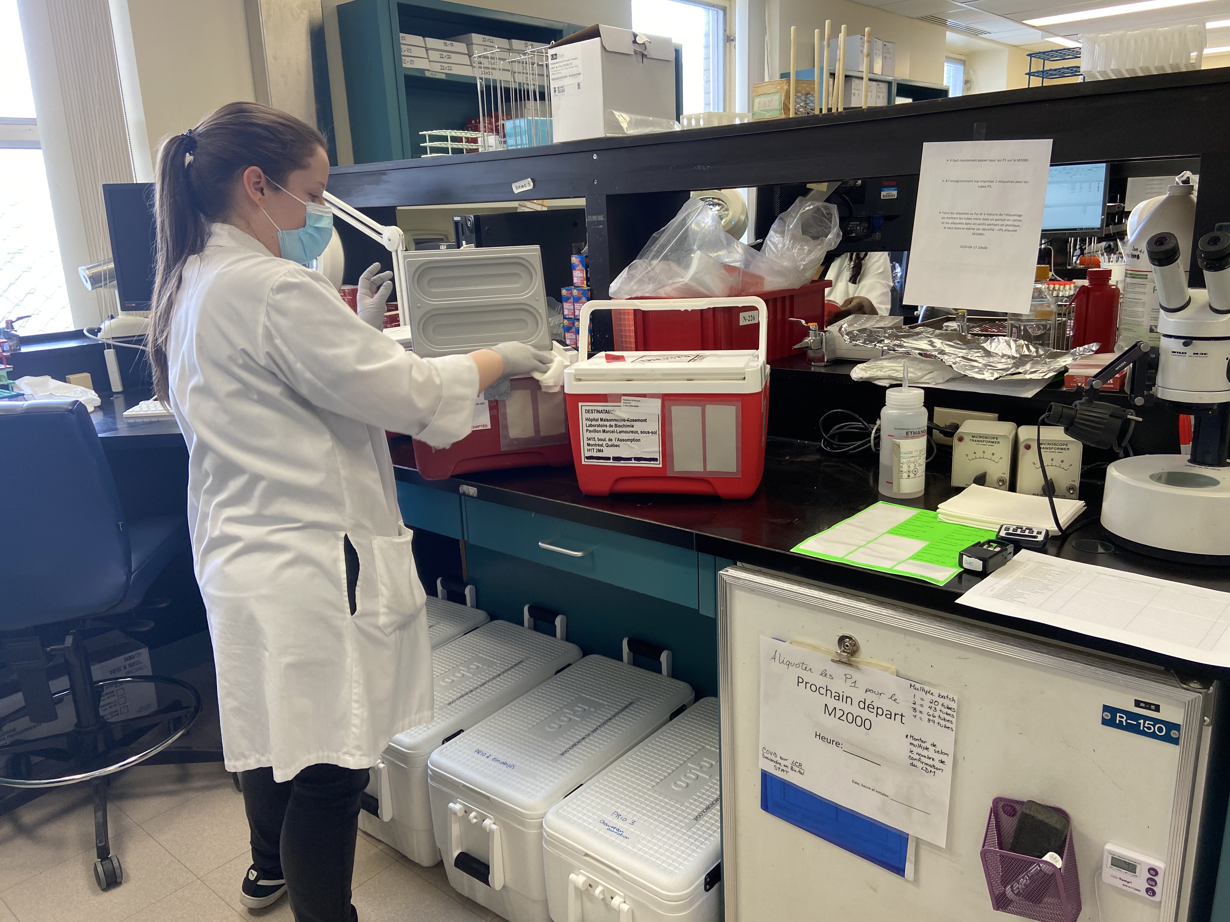 Le laboratoire de microbiologie d’HMR reçoit les échantillons avant de les disperser dans les différents locaux d’analyse.