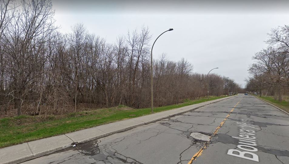 Quelque 3,3 hectares d’espaces boisés dans Rivière-des-Prairies, convoités par un promoteur immobilier, appartiennent désormais à la Ville de Montréal.