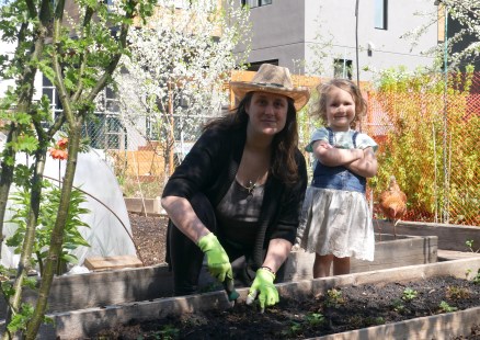 Jardin potager de Déborah Chaveron