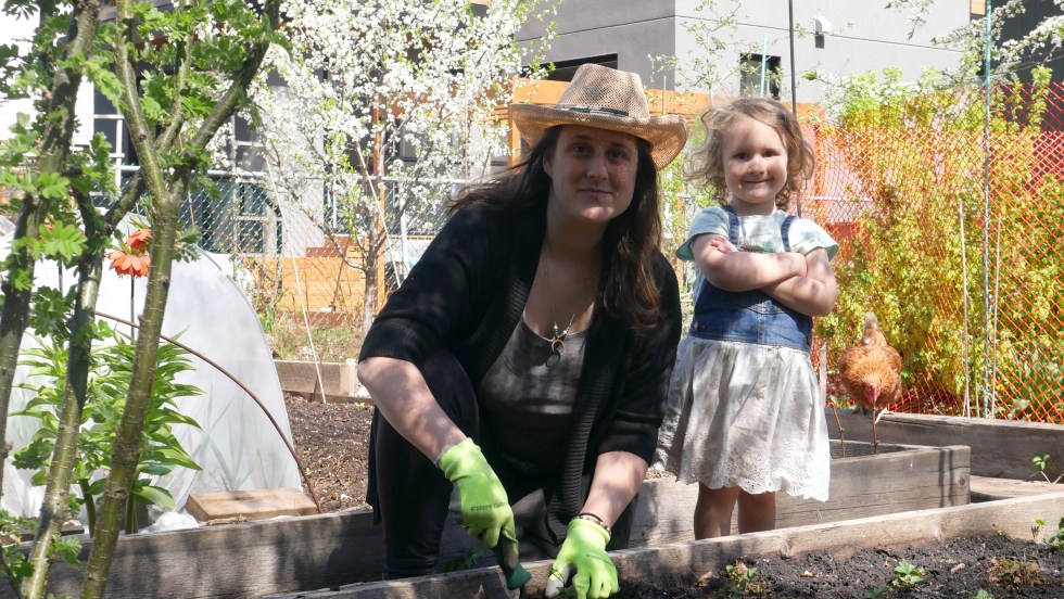 Jardin potager de Déborah Chaveron