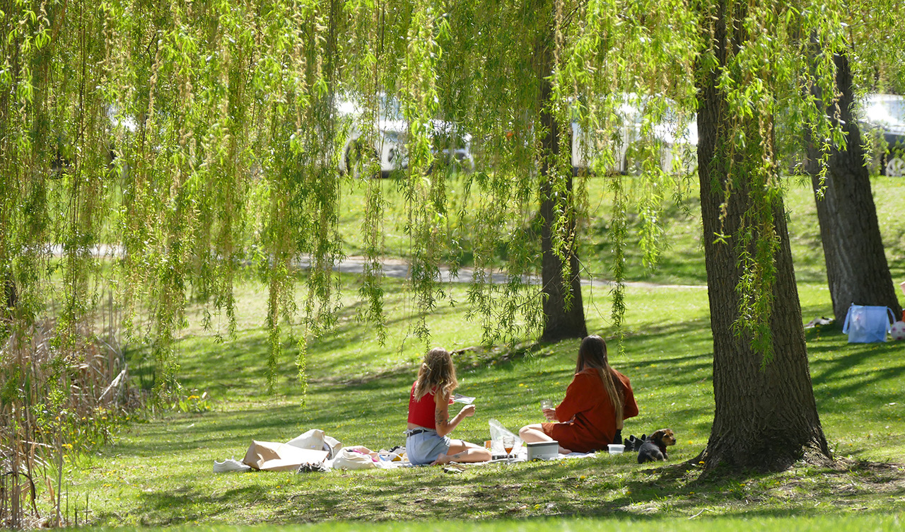 parc