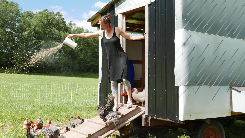 Club Arrivage: pour rapprocher producteurs et consommateurs