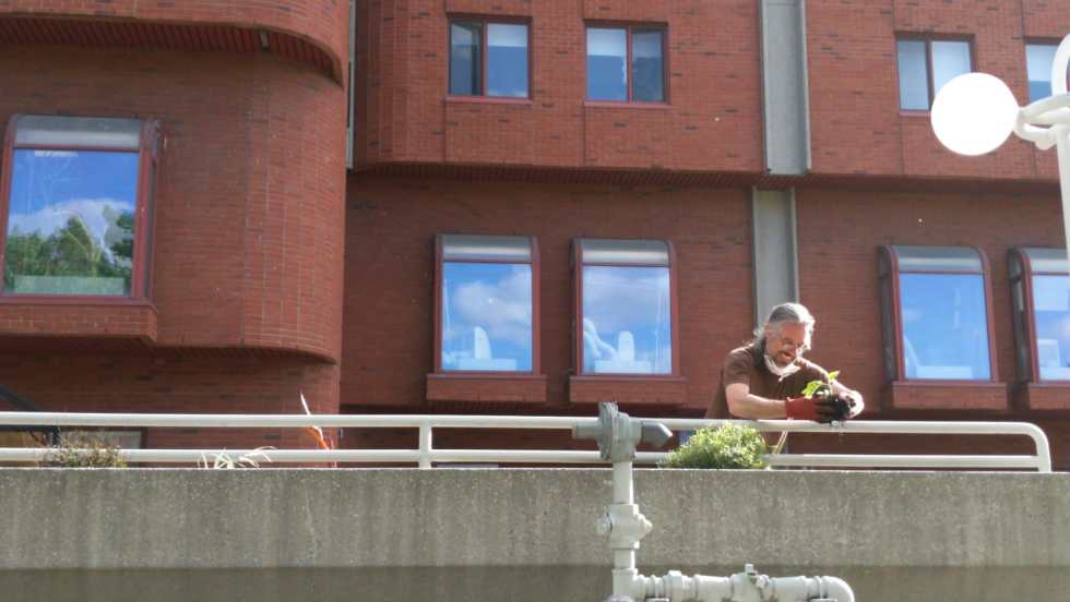 Plusieurs bénévoles sont venus verdir le CHSLD Auclair