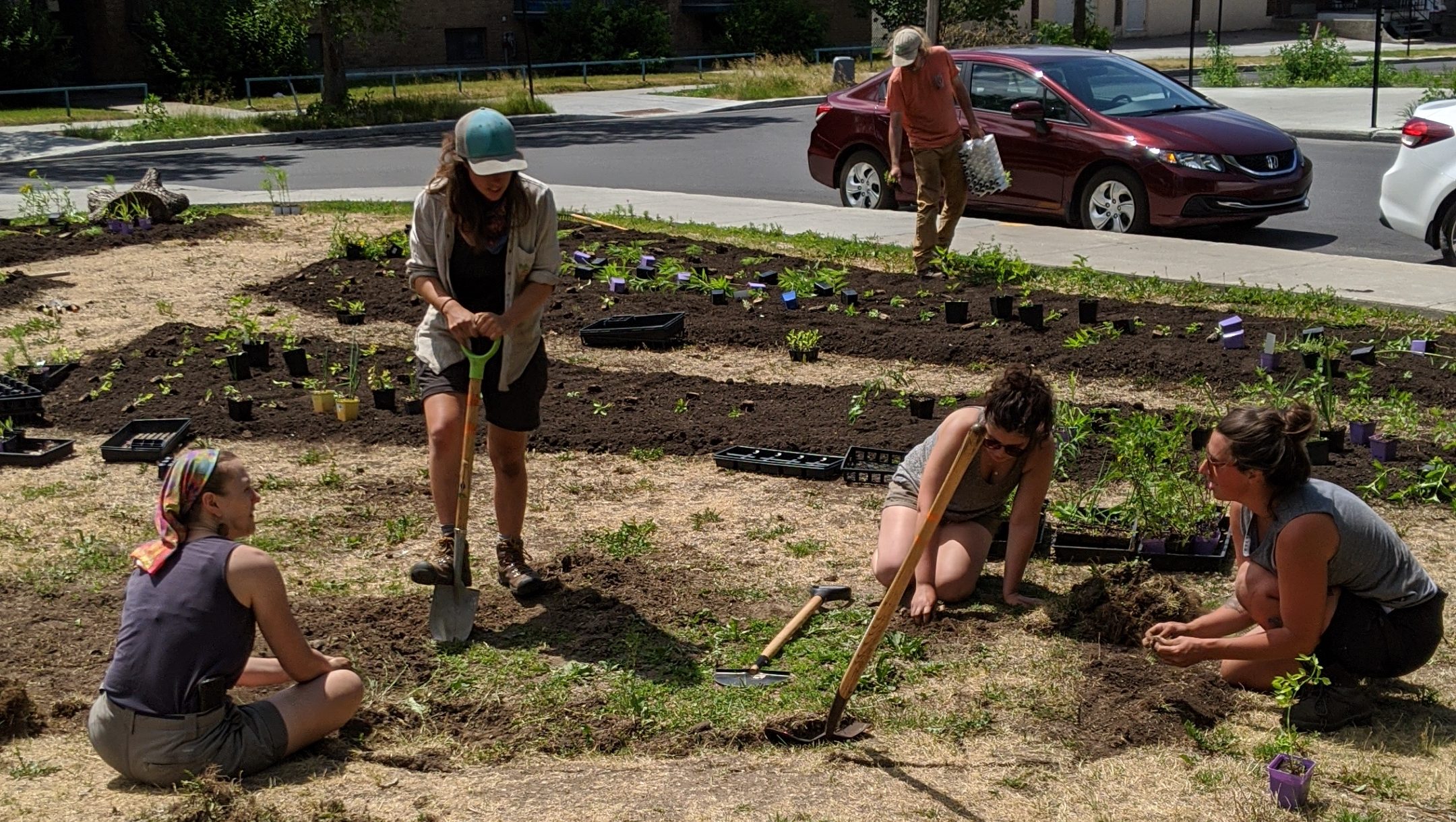 oasis pollinisateurs Père-Marquette