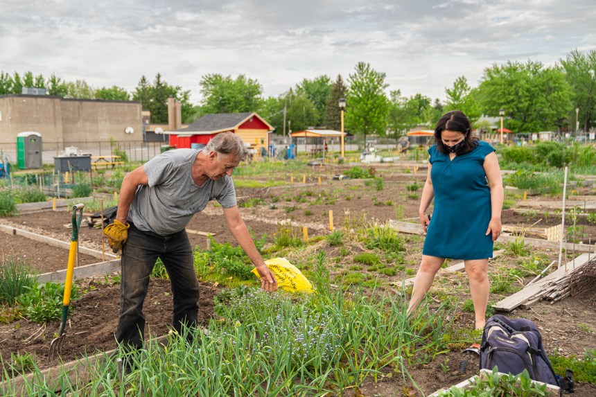 Agriculture Urbaine Rdp Pat Devoile Son Plan D Action