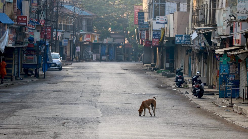 un chien circule dans une rue vide de Valsad, en Inde, pays en développement également frappé par les mesures de confinement.