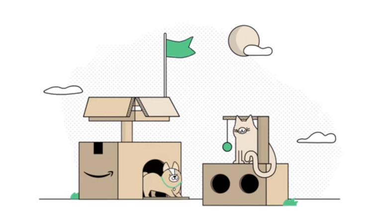 Amazon bo&icirc;te livraison module chat