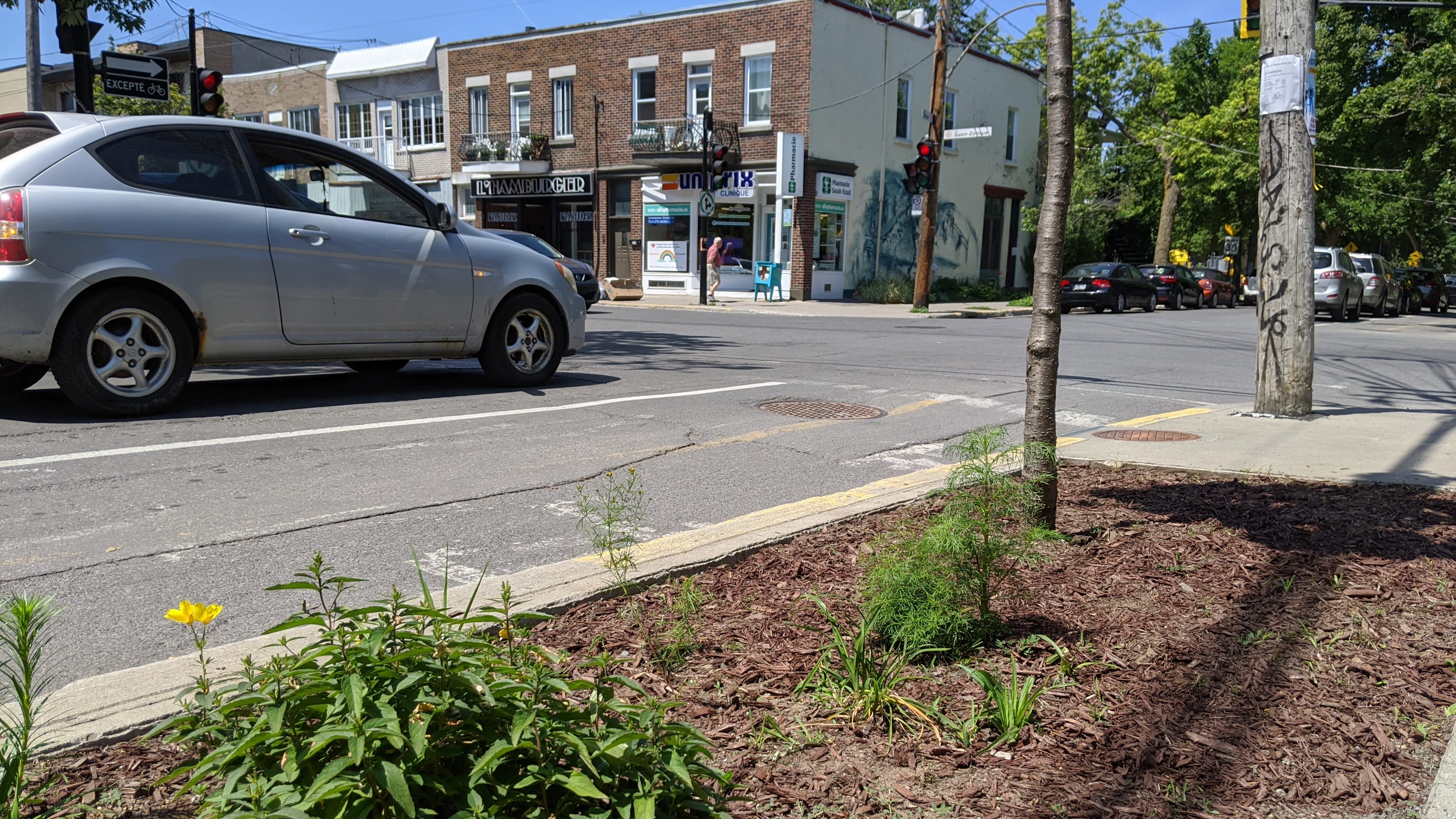 saillies de trottoir écologiques