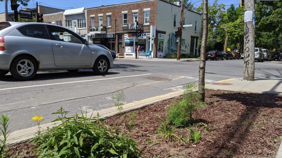 saillies de trottoir écologiques