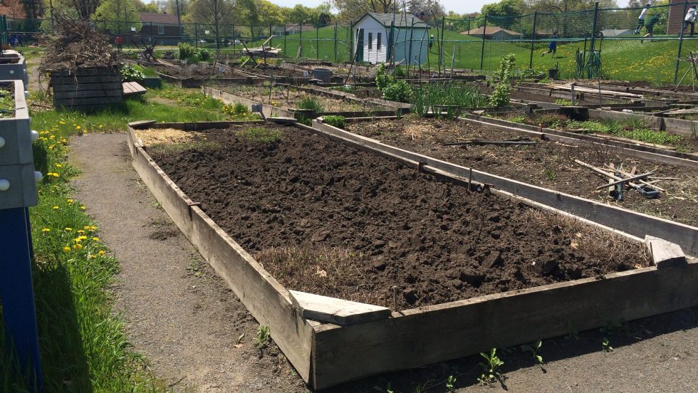 Jardin communautaire de Saint-Laurent