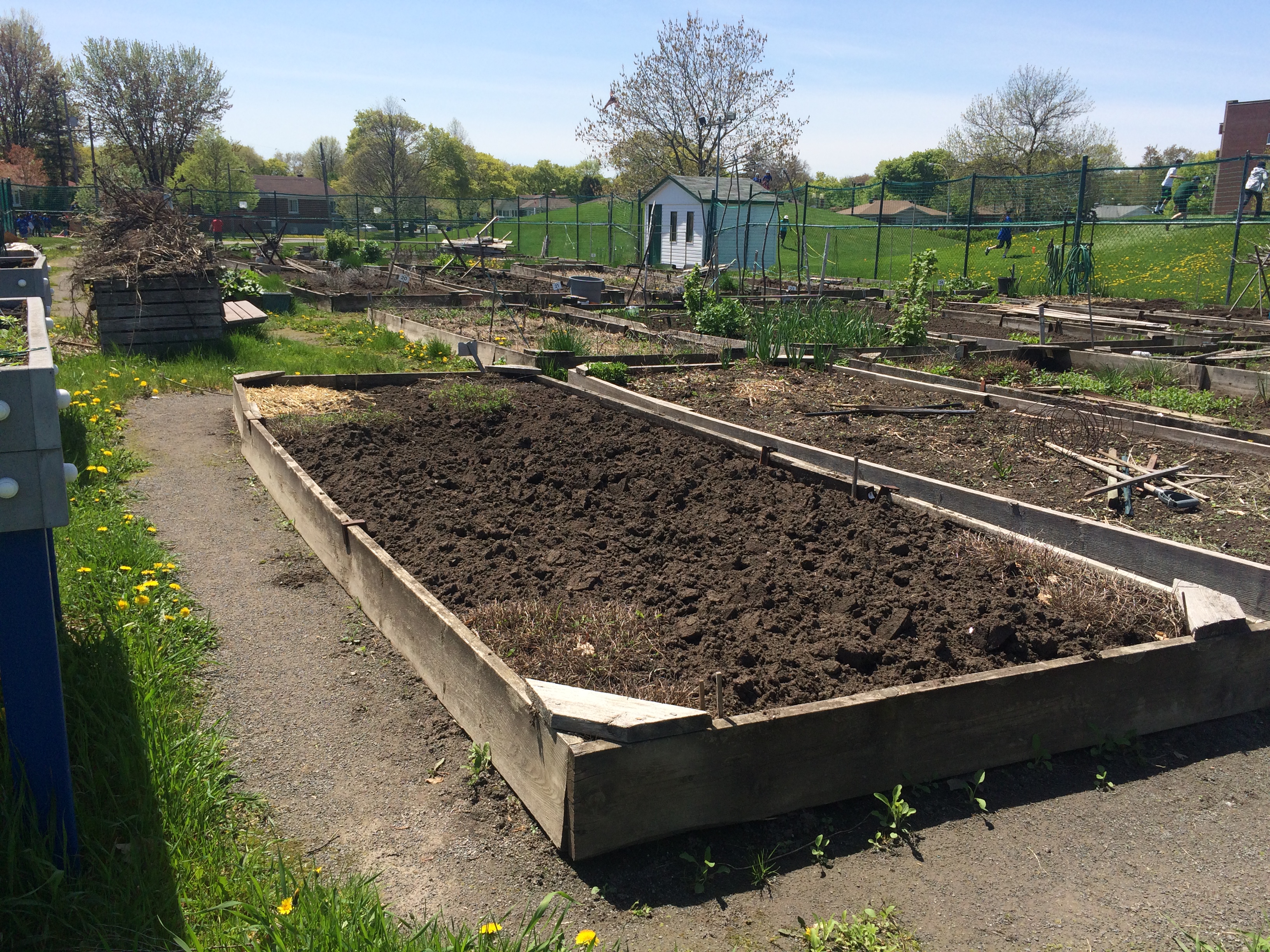 Jardin communautaire de Saint-Laurent