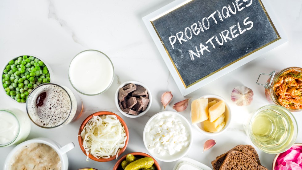 sources probiotiques