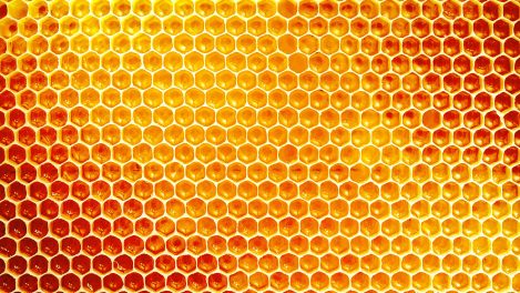 alvéoles d'une ruche d'abeilles