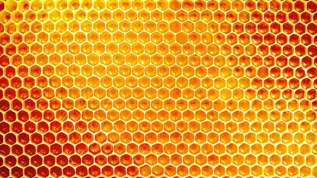 alvéoles d'une ruche d'abeilles